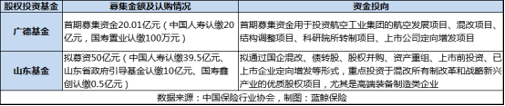 中国人寿股权基金投资项目
